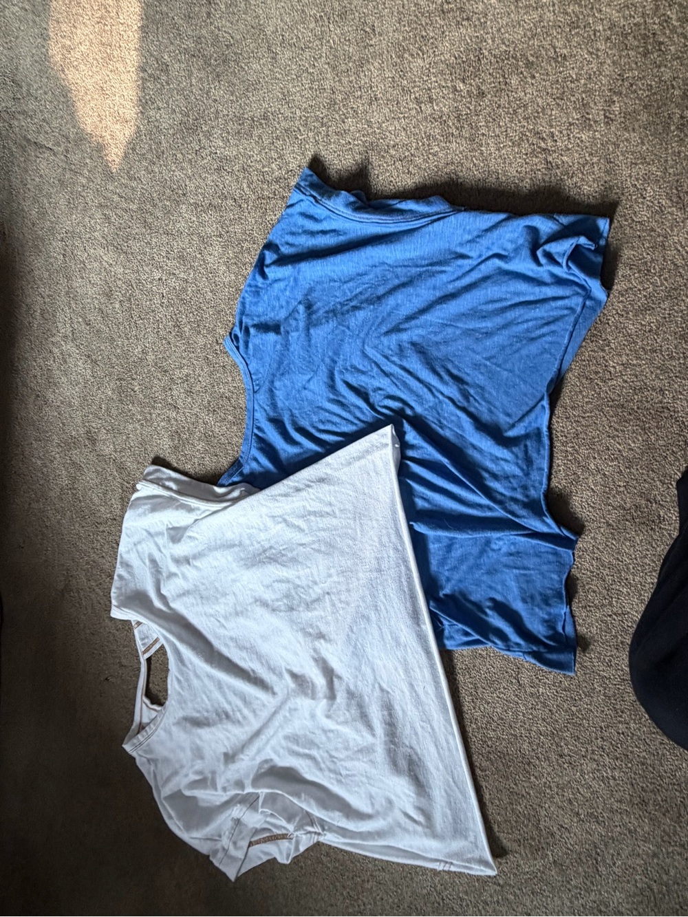 SHEIN Blue and White Basic Tee Set